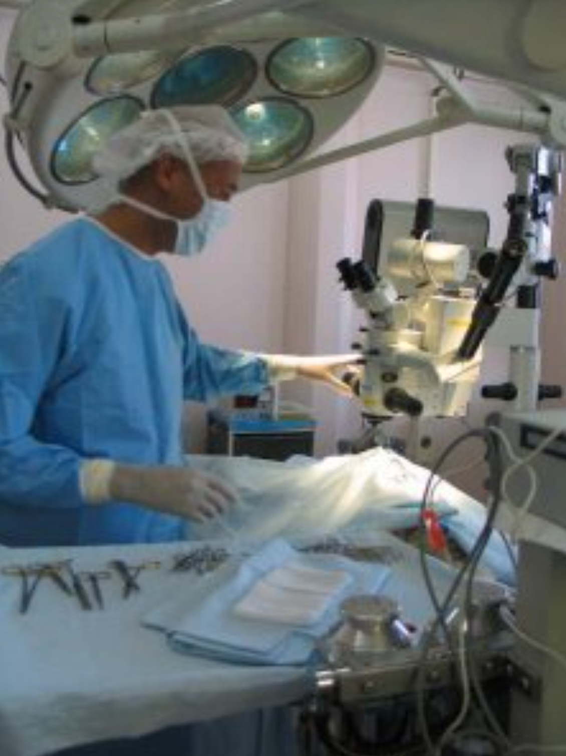  Cabinet Vétérinaire International, Geneva Veterinarian, veterinarian Geneva