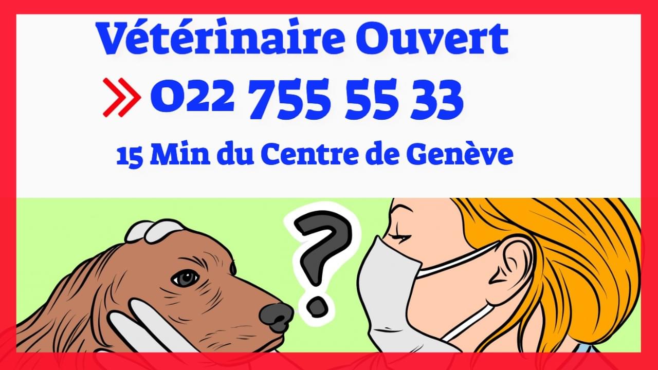 Vétérinaire de Garde - 022 755 55 33 - 15 min du Centre Genève