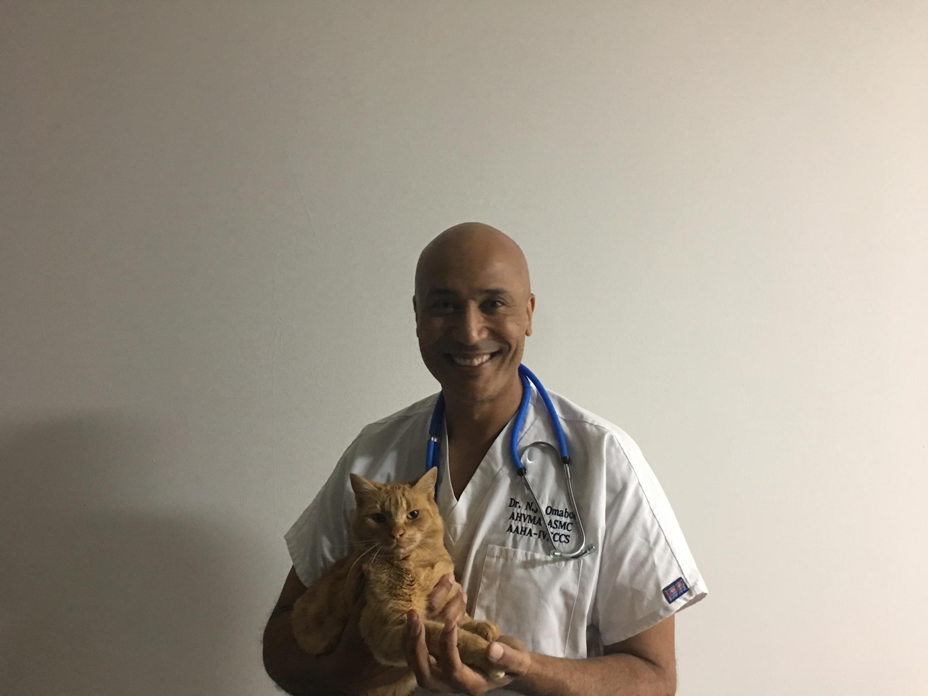  Cabinet Vétérinaire International, Geneva Veterinarian, veterinarian Geneva, Dr Omaboe with Thor